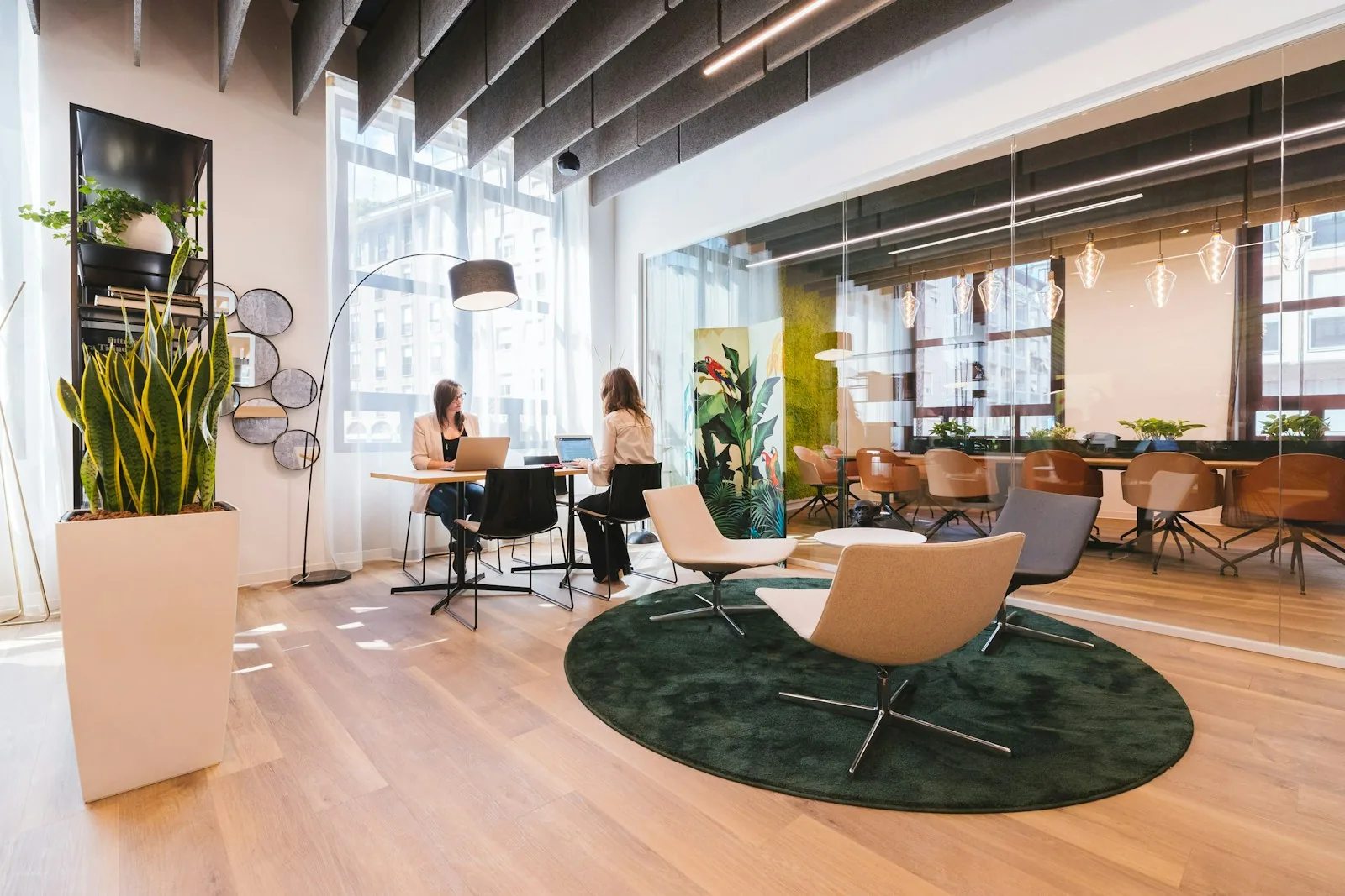 Lys, moderne klinik-lounge med læderstole og planter